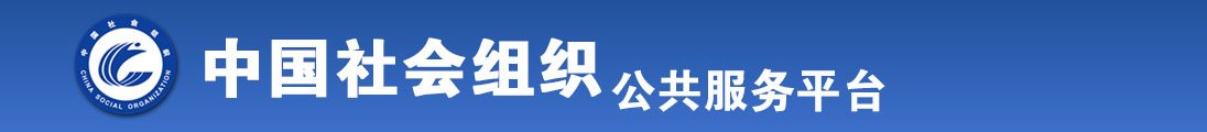 网站操穴全国社会组织信息查询